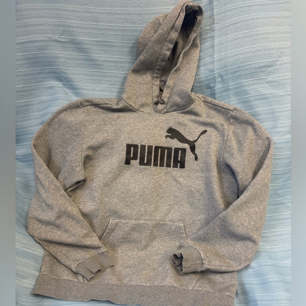 Puma Men's Gray Hoodie